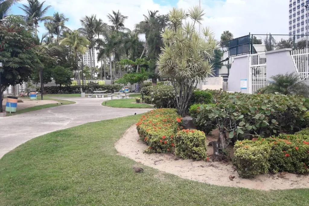 Coral Beach Isla Verde Beach Front Large 1 Bedroom Apt 208 Tower 1 San Juan Apartment